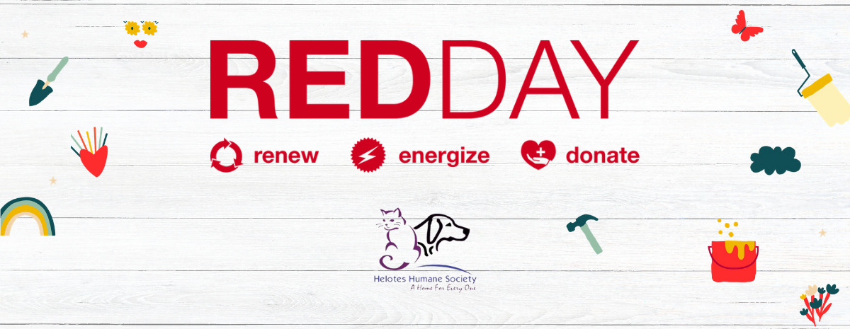 Helotes Humane Society 2021